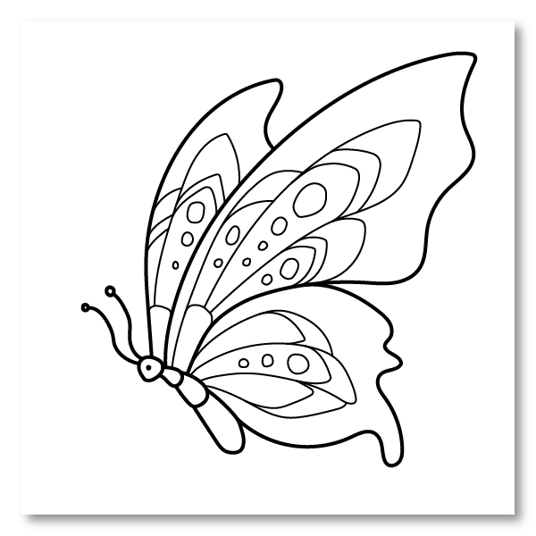 Butterfly Coloring Pages_ - Coloring Home Club