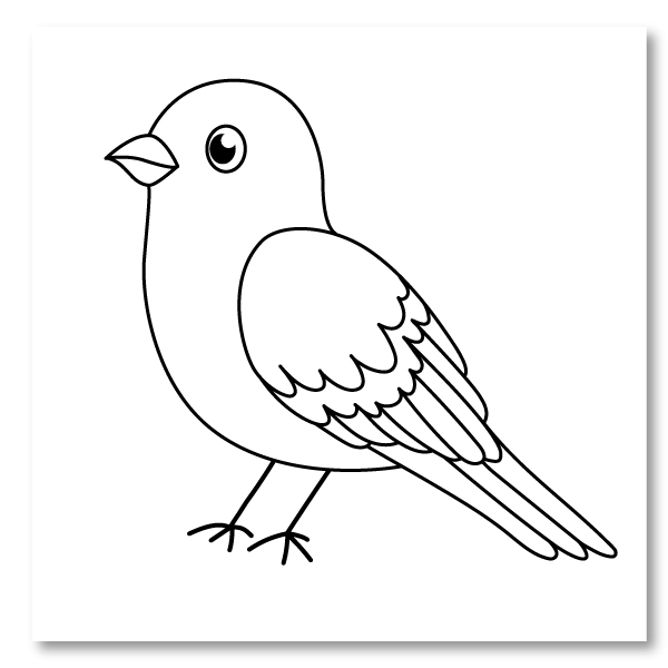 Bird Coloring Pages - Coloring Home Club